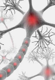 Nerve ending or neuropathic pain